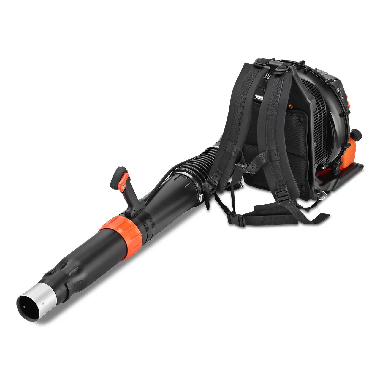 Angebote & Aktionen CH